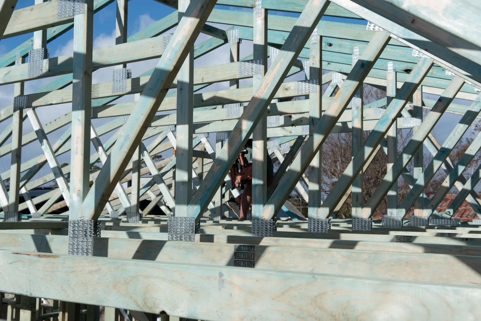 Installed roof trusses and bracing viewed from inside the new frame