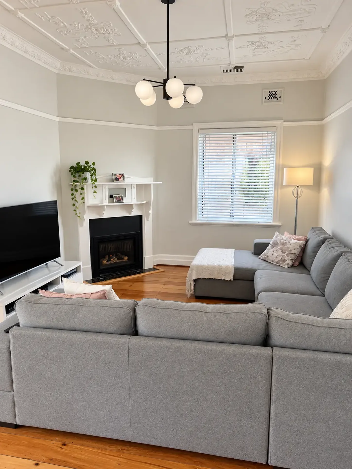 Light filled living room with ornate ceiling, fireplace and timber flooring at Russell Lea